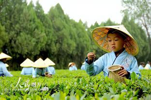 泰尔齐奇：多特一再展示两幅面孔，我们能在冬歇期从上半程汲取教训